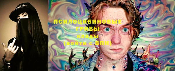 соль ск Аркадак