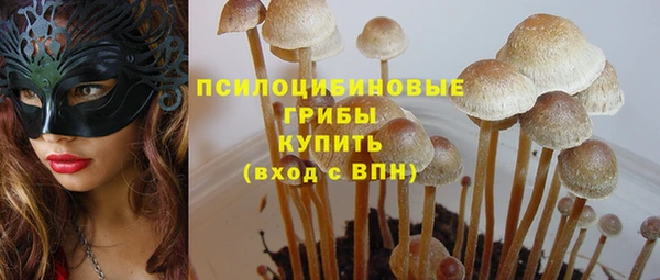 mdpv Арсеньев