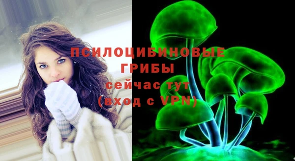 mdpv Арсеньев