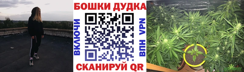 Марихуана планчик  Снежинск 